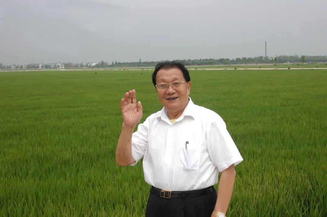 CA88��(�й���) - Ψһ�ٷ���վ